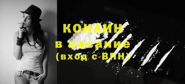 твердый Алексин
