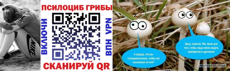 купить сайты Яровое OMG онион Псилоцибиновые грибы Psilocybe